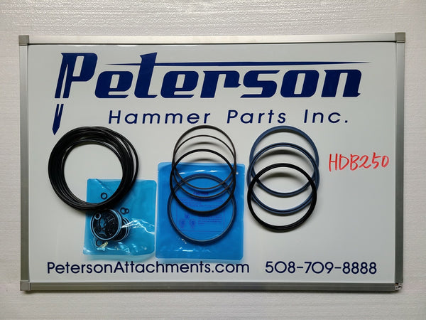HYUNDAI HDB250 DAEMO B250 HYDRAULIC BREAKER HAMMER SEAL KIT
